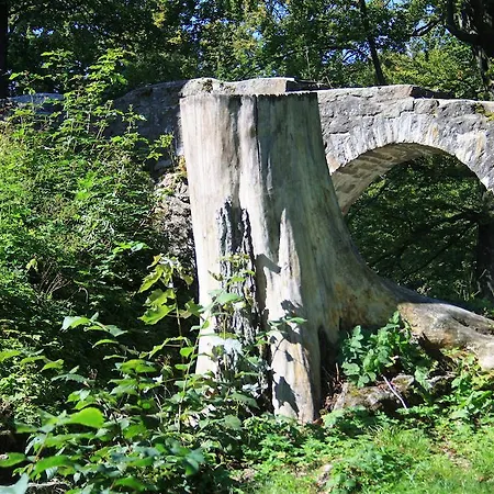 Panorama-hotel Am Neunburg vorm Wald