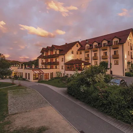 Hotel Panorama-hotel Am Neunburg vorm Wald